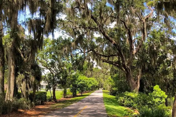 West Orange Trail Florida Bike Trail avec un paysage naturel d'arbre vert et d'herbe le long de la route