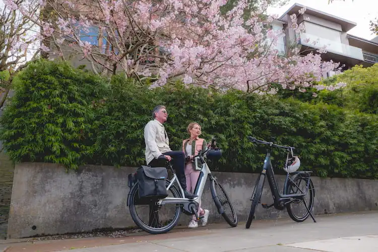 New Electric Bike Gazelle Avignon 2023 Women and Man