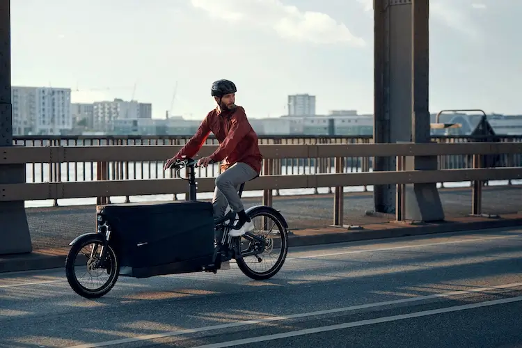 Delivery with electric cargo bike Riese & Muller