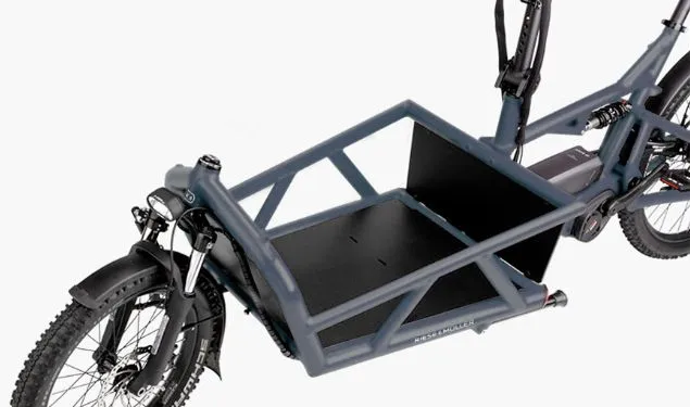 Cargo Bike Riese & Muller Load 60 with front box