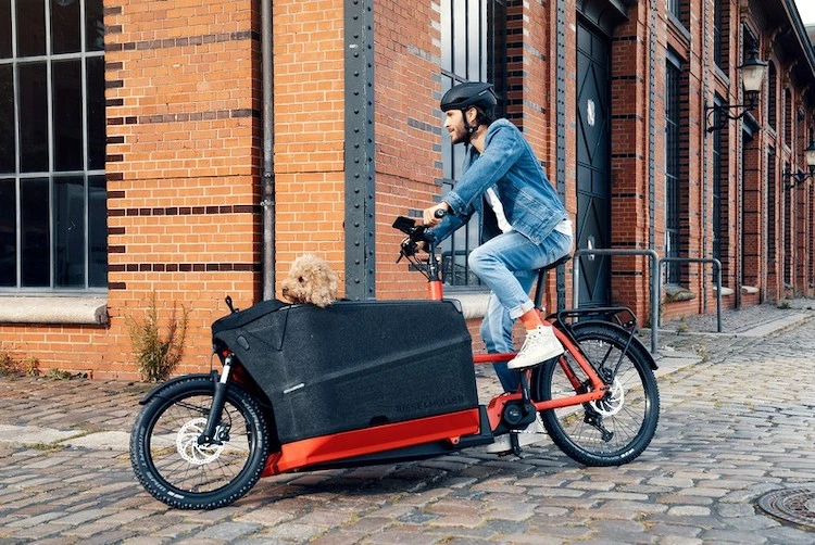 Homme qui transporte un chien dans un vélo cargo électrique Riese & Müller rouge